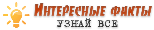Интересные факты